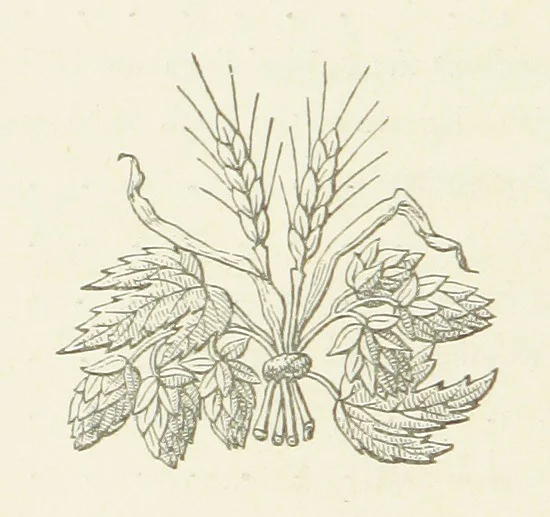 An illustration from The White Wife; with other stories, supernatural, romantic and legendary; collected and illustrated by Cuthbert Bede, 1865, leaf 16