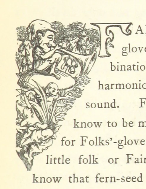 An illustration from The White Wife; with other stories, supernatural, romantic and legendary; collected and illustrated by Cuthbert Bede, 1865, leaf 243