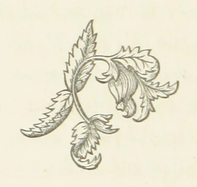 An illustration from The White Wife; with other stories, supernatural, romantic and legendary; collected and illustrated by Cuthbert Bede, 1865, leaf 252