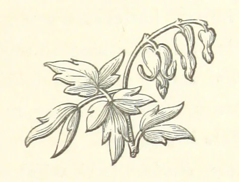 An illustration from The White Wife; with other stories, supernatural, romantic and legendary; collected and illustrated by Cuthbert Bede, 1865, leaf 255