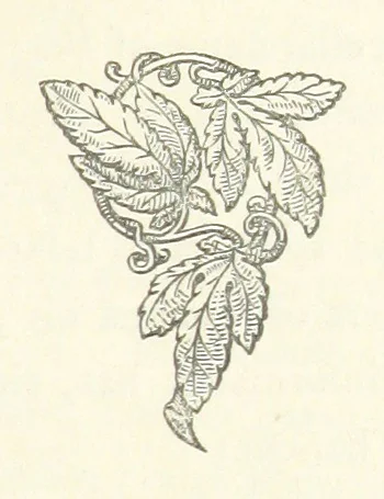 An illustration from The White Wife; with other stories, supernatural, romantic and legendary; collected and illustrated by Cuthbert Bede, 1865, leaf 275