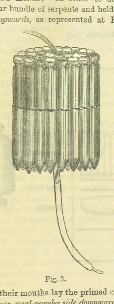 An illustration from Beeton's Brave Tales, Bold Ballads, and Travels and Perils by Land and Sea. Illustrated ... Edited by S. O. Beeton, 1872, leaf 1139