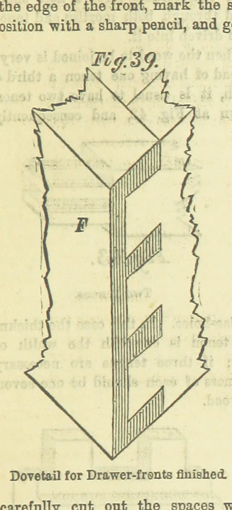 An illustration from Beeton's Brave Tales, Bold Ballads, and Travels and Perils by Land and Sea. Illustrated ... Edited by S. O. Beeton, 1872, leaf 183