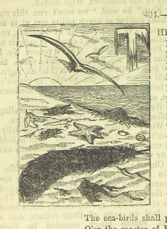 An illustration from Beeton's Brave Tales, Bold Ballads, and Travels and Perils by Land and Sea. Illustrated ... Edited by S. O. Beeton, 1872, leaf 216