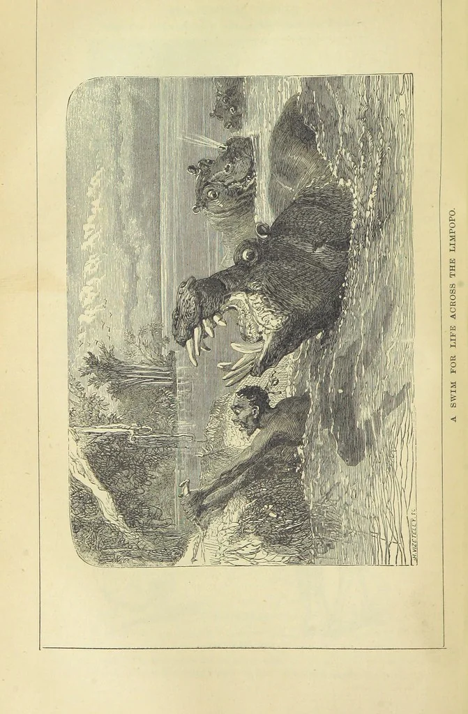 An illustration from Beeton's Brave Tales, Bold Ballads, and Travels and Perils by Land and Sea. Illustrated ... Edited by S. O. Beeton, 1872, leaf 220