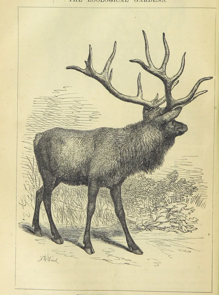 An illustration from Beeton's Brave Tales, Bold Ballads, and Travels and Perils by Land and Sea. Illustrated ... Edited by S. O. Beeton, 1872, leaf 288