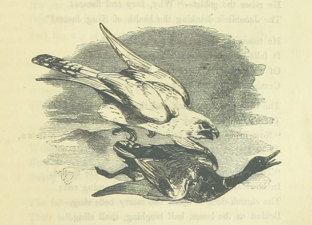 An illustration from Beeton's Brave Tales, Bold Ballads, and Travels and Perils by Land and Sea. Illustrated ... Edited by S. O. Beeton, 1872, leaf 305