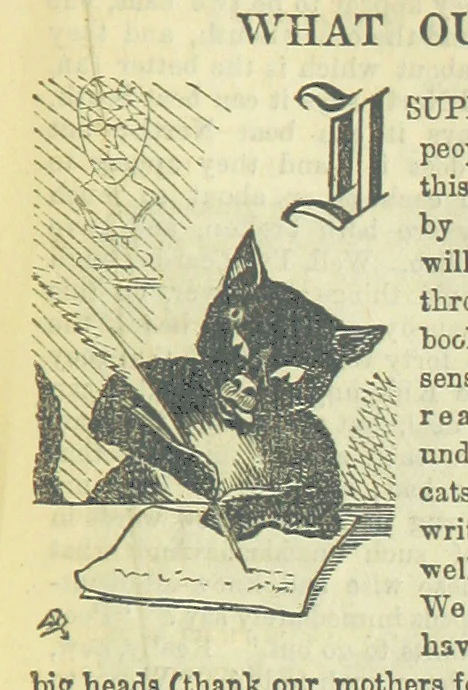 An illustration from Beeton's Brave Tales, Bold Ballads, and Travels and Perils by Land and Sea. Illustrated ... Edited by S. O. Beeton, 1872, leaf 479