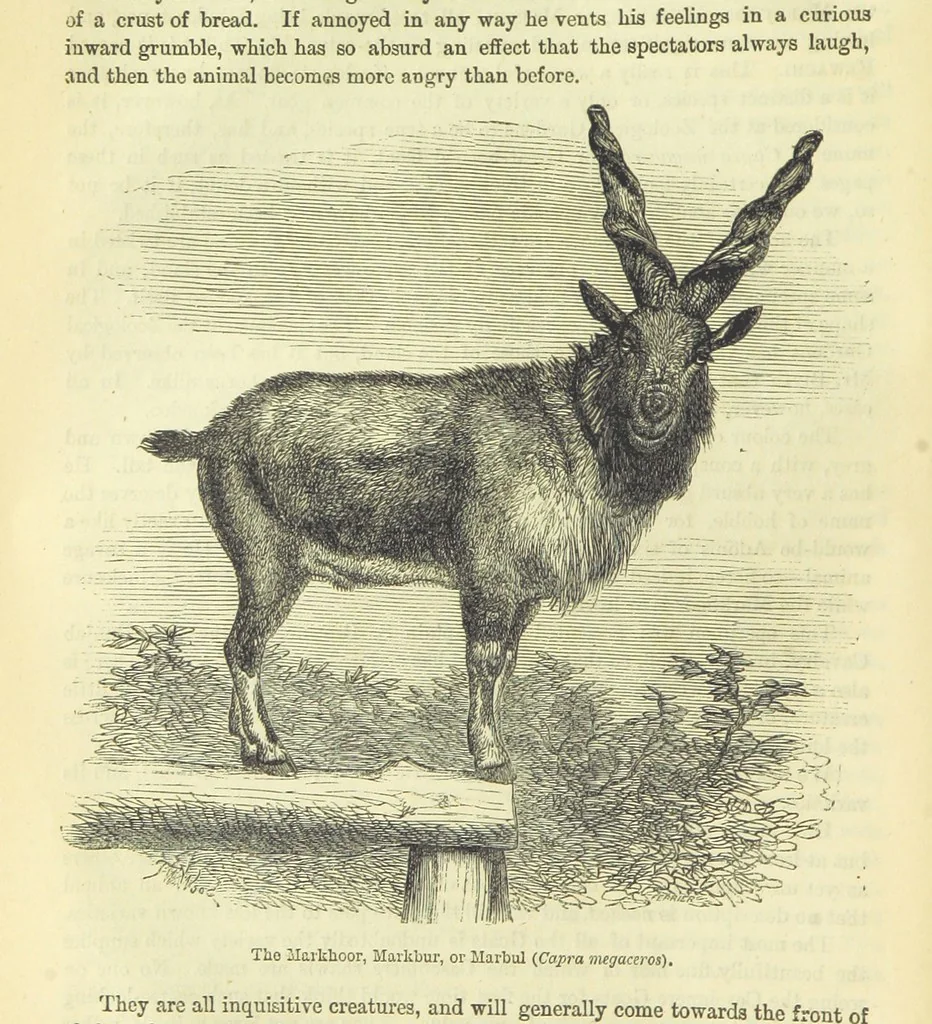 An illustration from Beeton's Brave Tales, Bold Ballads, and Travels and Perils by Land and Sea. Illustrated ... Edited by S. O. Beeton, 1872, leaf 54
