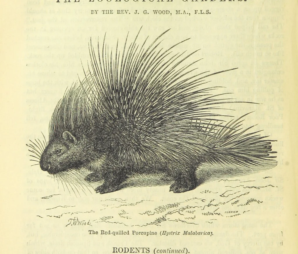 An illustration from Beeton's Brave Tales, Bold Ballads, and Travels and Perils by Land and Sea. Illustrated ... Edited by S. O. Beeton, 1872, leaf 580