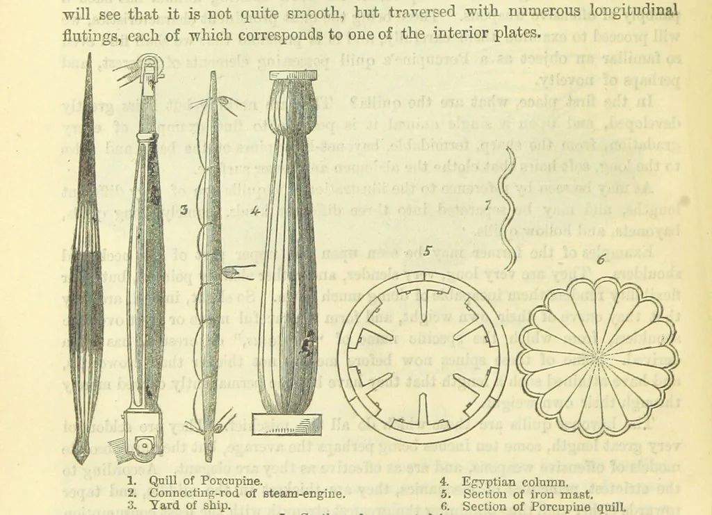 An illustration from Beeton's Brave Tales, Bold Ballads, and Travels and Perils by Land and Sea. Illustrated ... Edited by S. O. Beeton, 1872, leaf 582