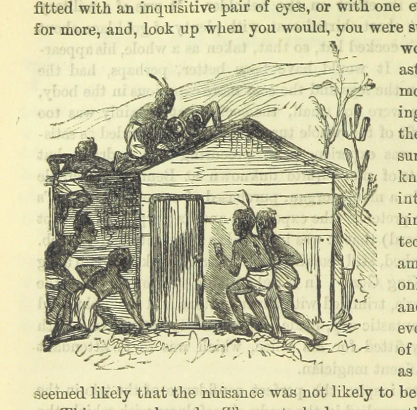 An illustration from Beeton's Brave Tales, Bold Ballads, and Travels and Perils by Land and Sea. Illustrated ... Edited by S. O. Beeton, 1872, leaf 612
