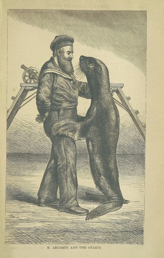 An illustration from Beeton's Brave Tales, Bold Ballads, and Travels and Perils by Land and Sea. Illustrated ... Edited by S. O. Beeton, 1872, leaf 763