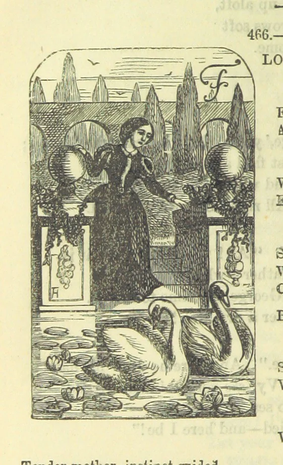 An illustration from Beeton's Brave Tales, Bold Ballads, and Travels and Perils by Land and Sea. Illustrated ... Edited by S. O. Beeton, 1872, leaf 794