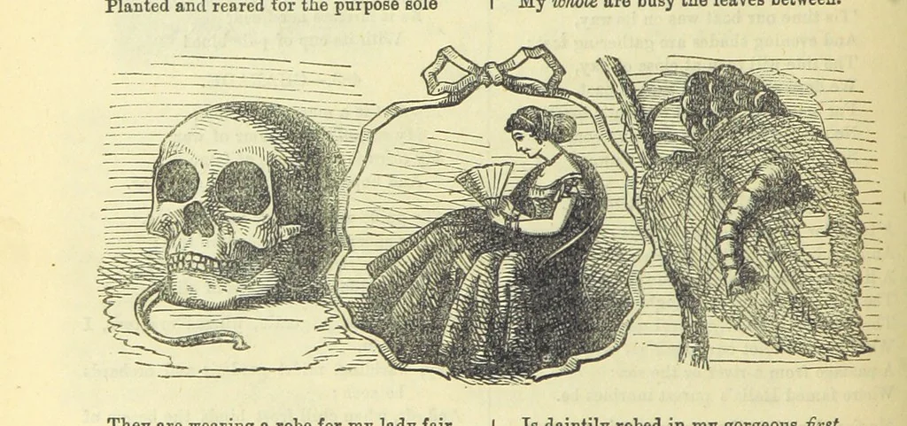 An illustration from Beeton's Brave Tales, Bold Ballads, and Travels and Perils by Land and Sea. Illustrated ... Edited by S. O. Beeton, 1872, leaf 966