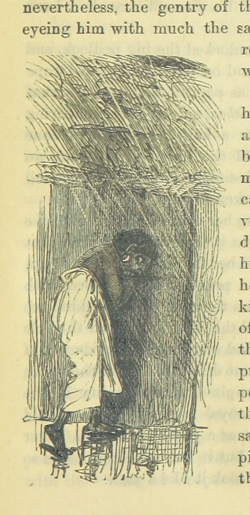 An illustration from Beeton's Brave Tales, Bold Ballads, and Travels and Perils by Land and Sea. Illustrated ... Edited by S. O. Beeton, 1872, leaf 981