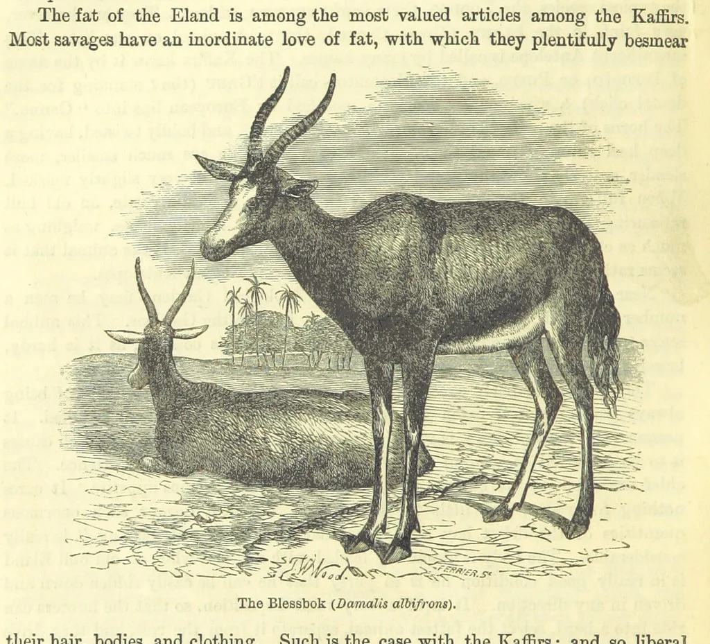 An illustration from Beeton's Historical Romances, Daring Deeds, and Animal Stories. Illustrated, etc, 1871, leaf 1002