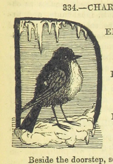 An illustration from Beeton's Historical Romances, Daring Deeds, and Animal Stories. Illustrated, etc, 1871, leaf 1045