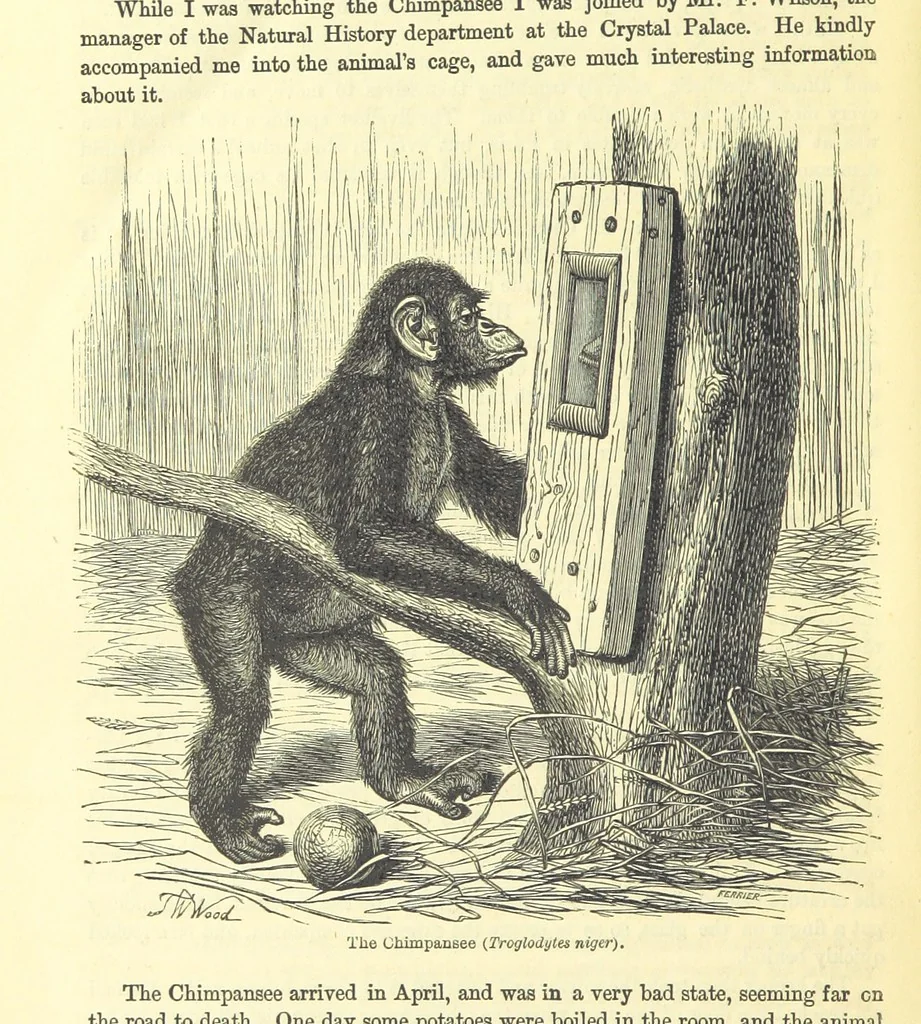 An illustration from Beeton's Historical Romances, Daring Deeds, and Animal Stories. Illustrated, etc, 1871, leaf 1158