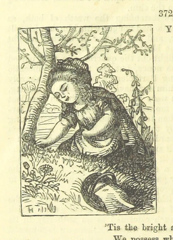 An illustration from Beeton's Historical Romances, Daring Deeds, and Animal Stories. Illustrated, etc, 1871, leaf 1170