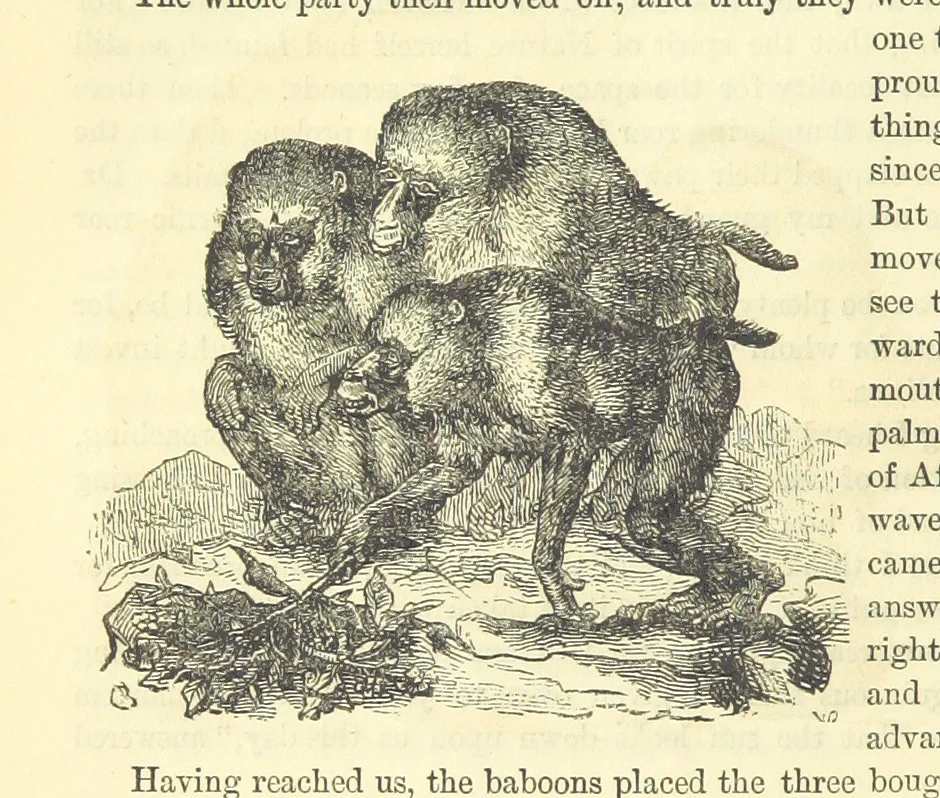 An illustration from Beeton's Historical Romances, Daring Deeds, and Animal Stories. Illustrated, etc, 1871, leaf 158