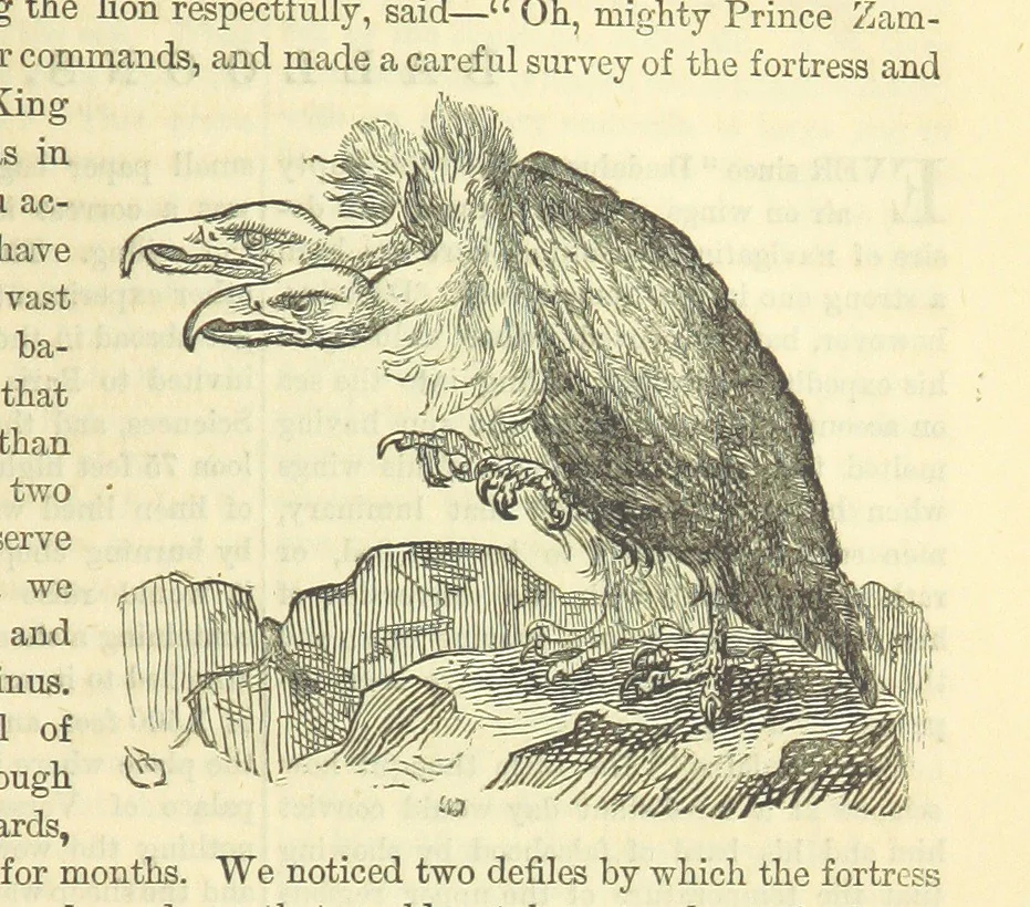 An illustration from Beeton's Historical Romances, Daring Deeds, and Animal Stories. Illustrated, etc, 1871, leaf 161