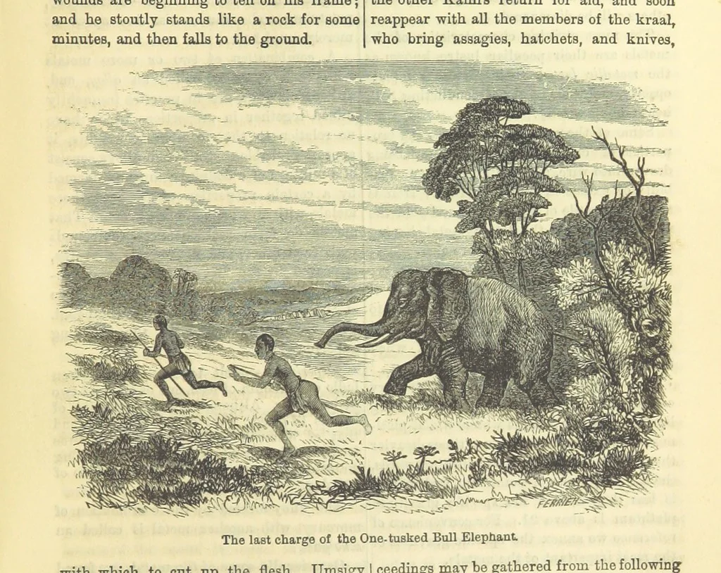 An illustration from Beeton's Historical Romances, Daring Deeds, and Animal Stories. Illustrated, etc, 1871, leaf 193