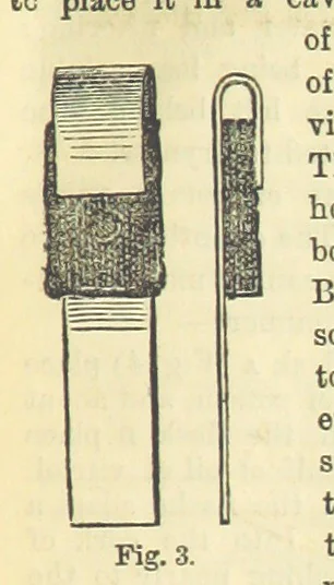 An illustration from Beeton's Historical Romances, Daring Deeds, and Animal Stories. Illustrated, etc, 1871, leaf 197