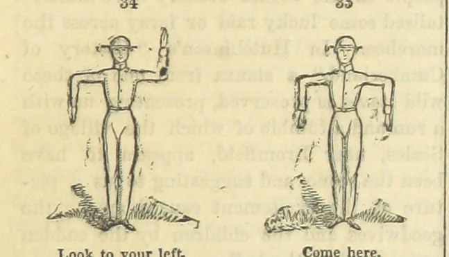 An illustration from Beeton's Historical Romances, Daring Deeds, and Animal Stories. Illustrated, etc, 1871, leaf 221