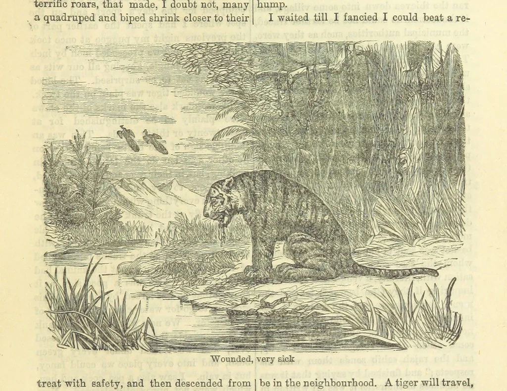 An illustration from Beeton's Historical Romances, Daring Deeds, and Animal Stories. Illustrated, etc, 1871, leaf 243