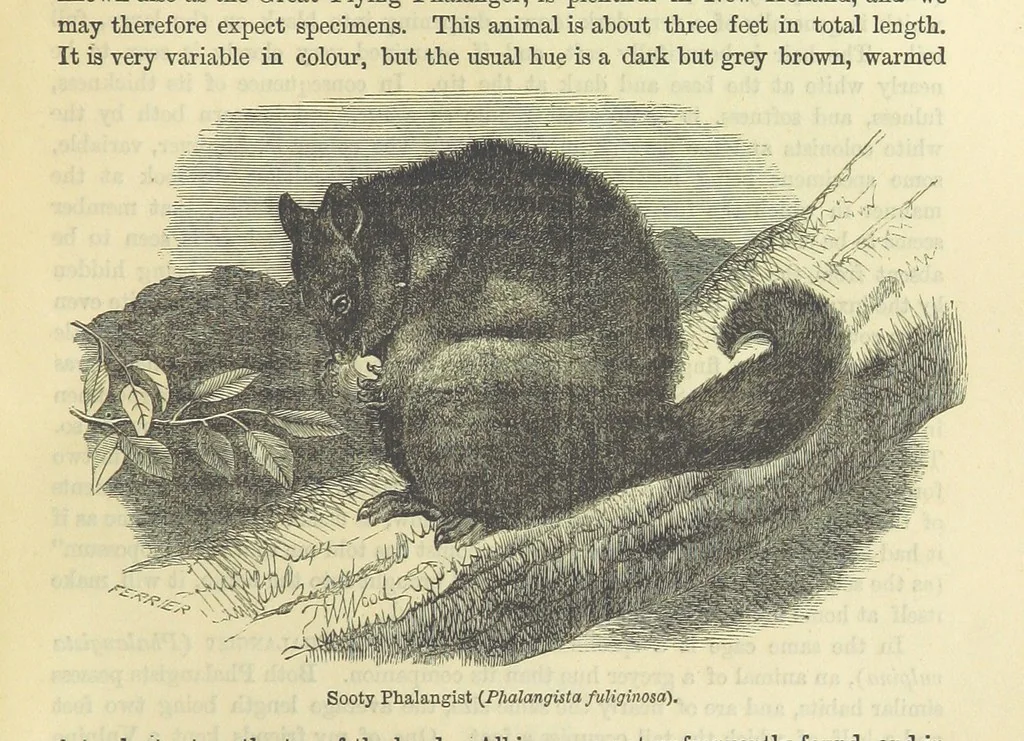 An illustration from Beeton's Historical Romances, Daring Deeds, and Animal Stories. Illustrated, etc, 1871, leaf 267