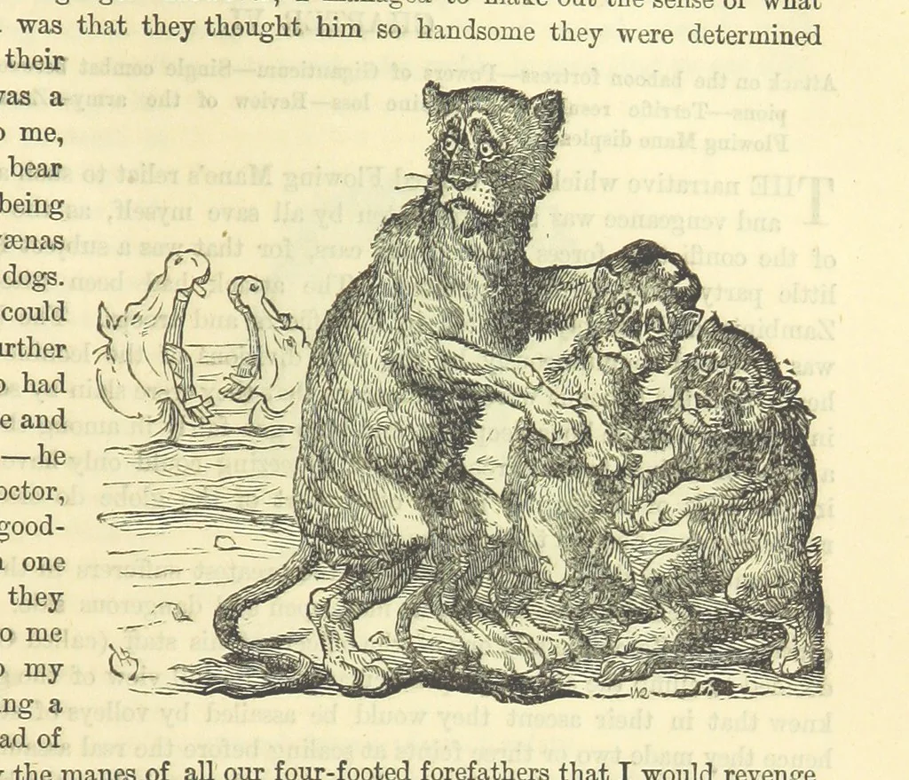 An illustration from Beeton's Historical Romances, Daring Deeds, and Animal Stories. Illustrated, etc, 1871, leaf 289