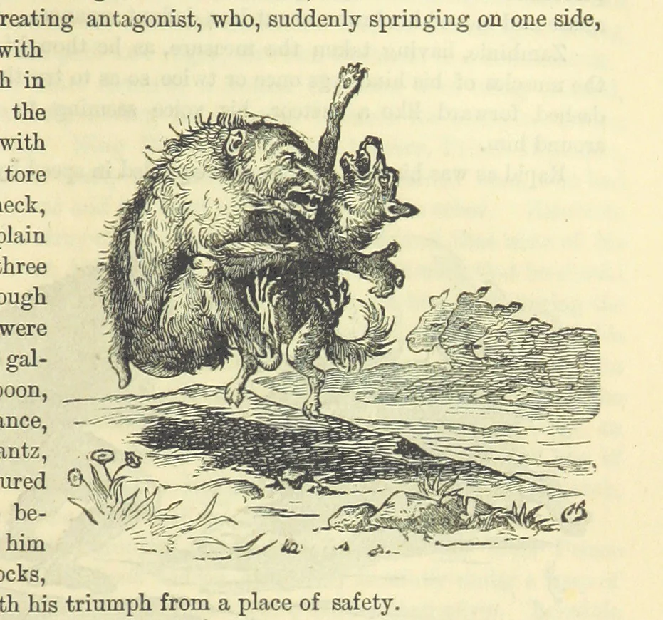 An illustration from Beeton's Historical Romances, Daring Deeds, and Animal Stories. Illustrated, etc, 1871, leaf 291