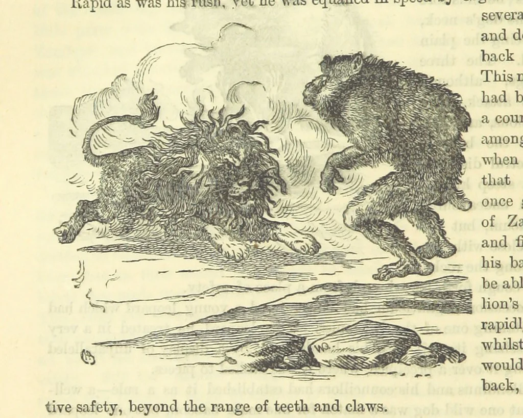 An illustration from Beeton's Historical Romances, Daring Deeds, and Animal Stories. Illustrated, etc, 1871, leaf 292