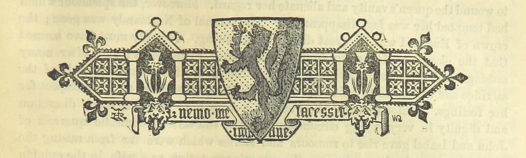 An illustration from Beeton's Historical Romances, Daring Deeds, and Animal Stories. Illustrated, etc, 1871, leaf 303