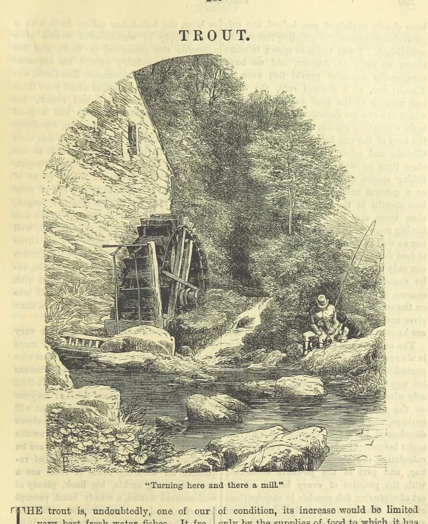An illustration from Beeton's Historical Romances, Daring Deeds, and Animal Stories. Illustrated, etc, 1871, leaf 321