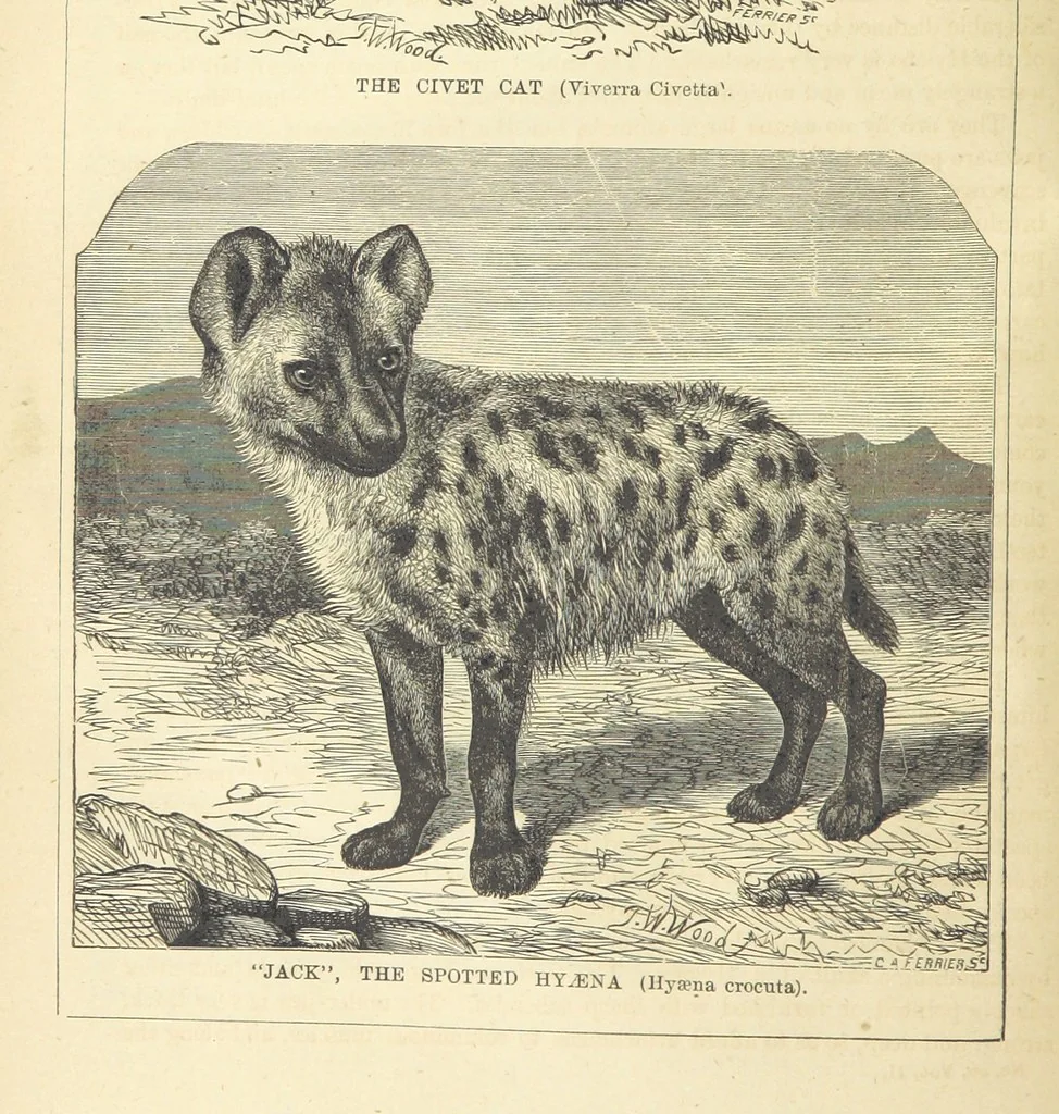 An illustration from Beeton's Historical Romances, Daring Deeds, and Animal Stories. Illustrated, etc, 1871, leaf 34