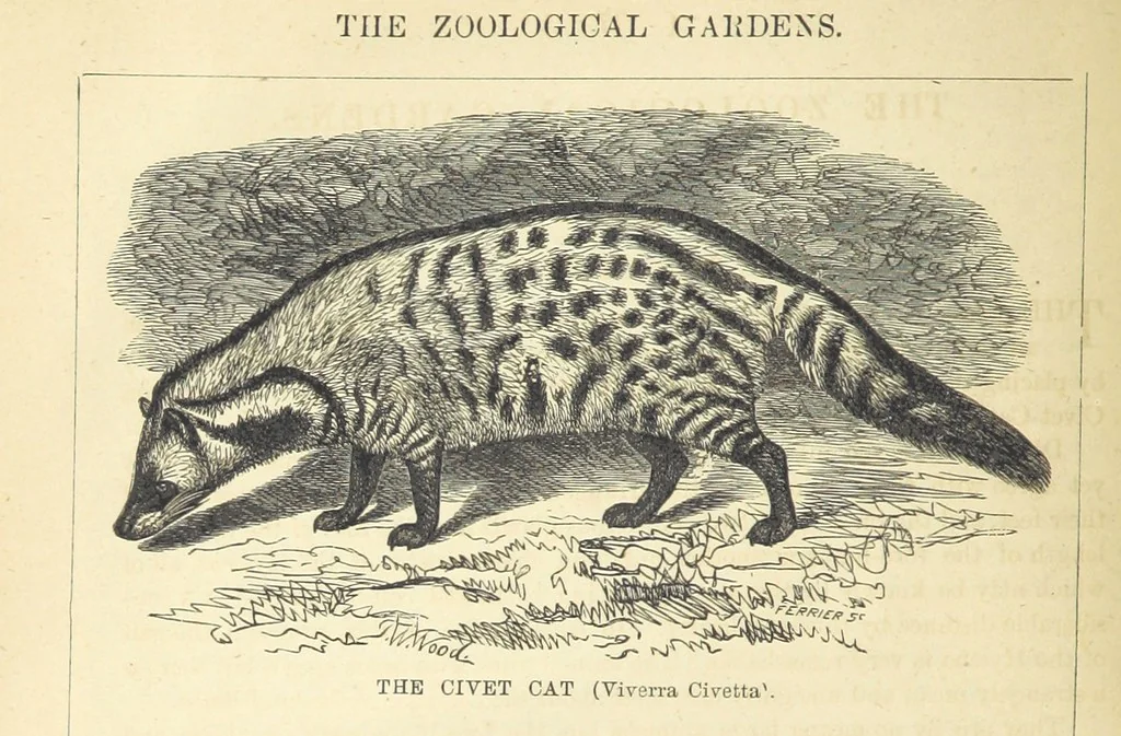 An illustration from Beeton's Historical Romances, Daring Deeds, and Animal Stories. Illustrated, etc, 1871, leaf 34