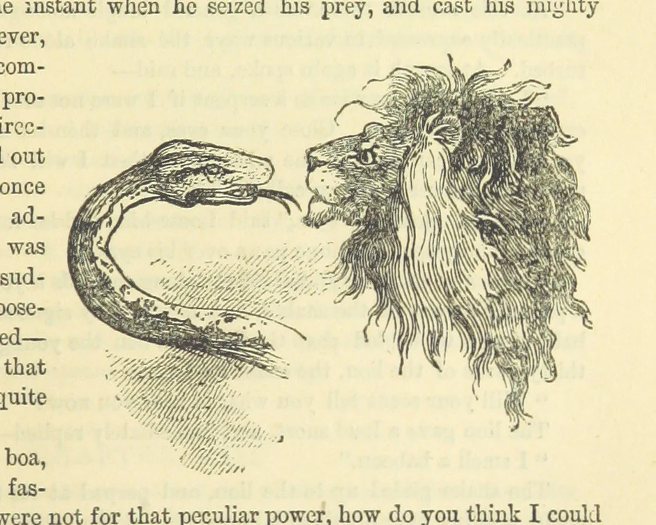 An illustration from Beeton's Historical Romances, Daring Deeds, and Animal Stories. Illustrated, etc, 1871, leaf 363