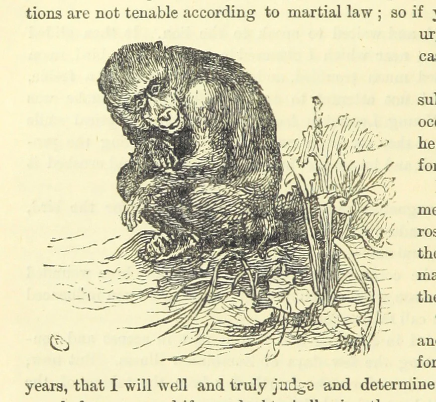 An illustration from Beeton's Historical Romances, Daring Deeds, and Animal Stories. Illustrated, etc, 1871, leaf 366