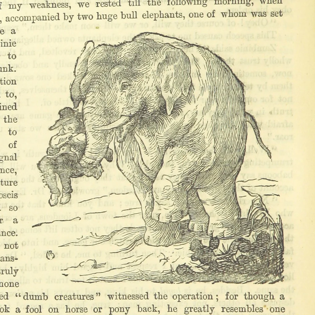 An illustration from Beeton's Historical Romances, Daring Deeds, and Animal Stories. Illustrated, etc, 1871, leaf 394