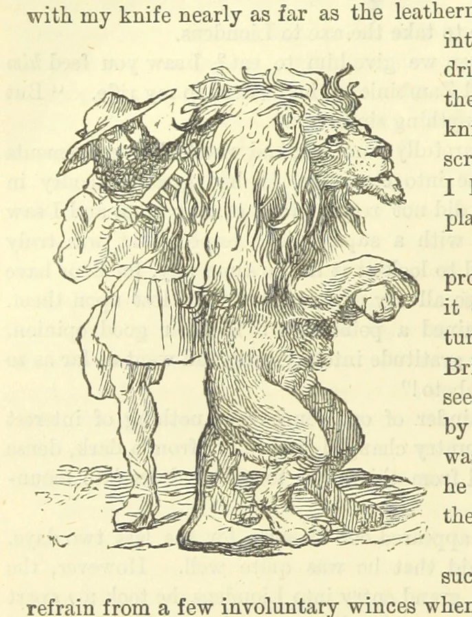 An illustration from Beeton's Historical Romances, Daring Deeds, and Animal Stories. Illustrated, etc, 1871, leaf 400