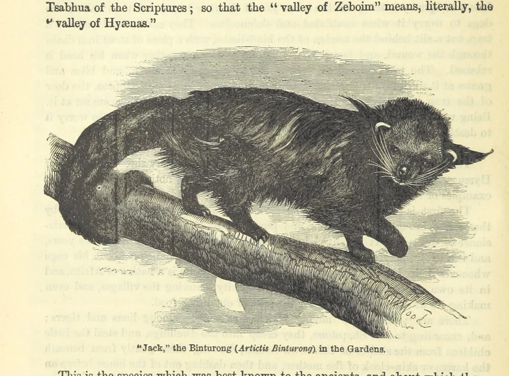 An illustration from Beeton's Historical Romances, Daring Deeds, and Animal Stories. Illustrated, etc, 1871, leaf 42