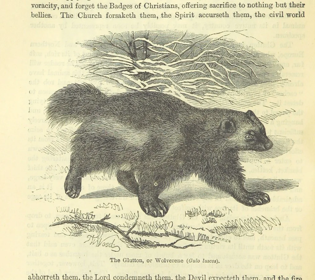 An illustration from Beeton's Historical Romances, Daring Deeds, and Animal Stories. Illustrated, etc, 1871, leaf 508