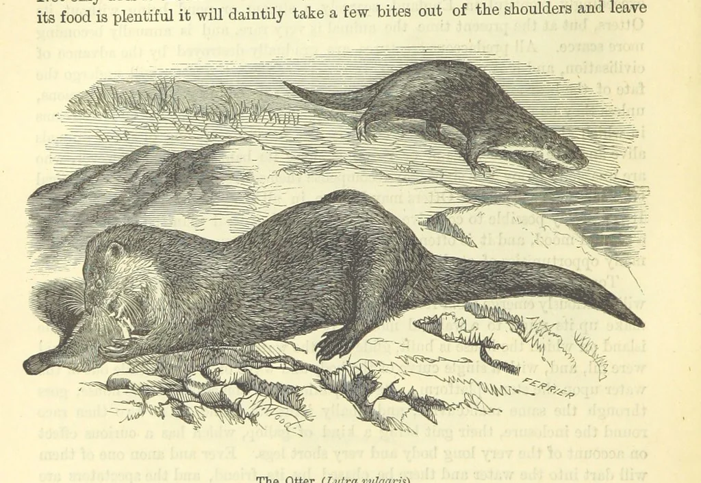 An illustration from Beeton's Historical Romances, Daring Deeds, and Animal Stories. Illustrated, etc, 1871, leaf 510