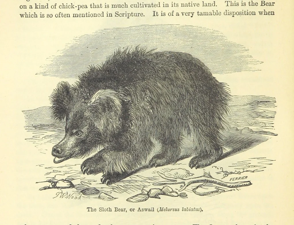 An illustration from Beeton's Historical Romances, Daring Deeds, and Animal Stories. Illustrated, etc, 1871, leaf 518