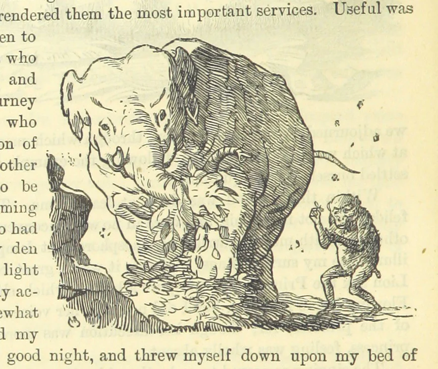 An illustration from Beeton's Historical Romances, Daring Deeds, and Animal Stories. Illustrated, etc, 1871, leaf 534