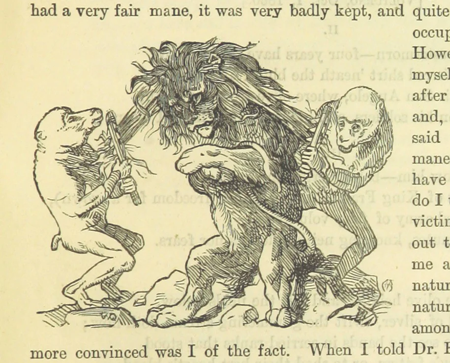 An illustration from Beeton's Historical Romances, Daring Deeds, and Animal Stories. Illustrated, etc, 1871, leaf 537