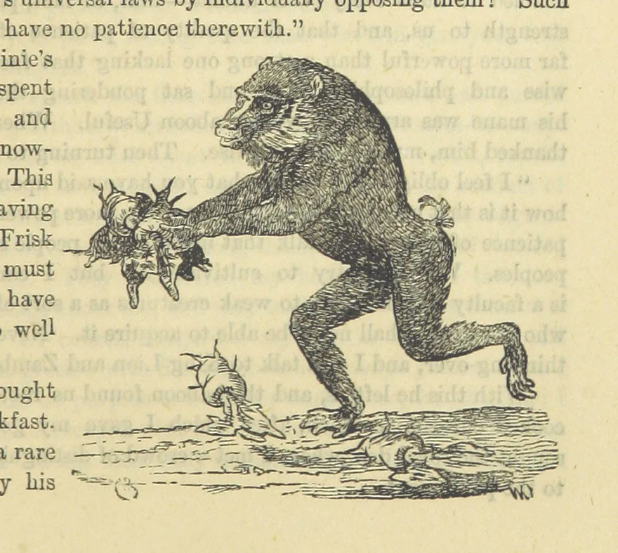 An illustration from Beeton's Historical Romances, Daring Deeds, and Animal Stories. Illustrated, etc, 1871, leaf 611