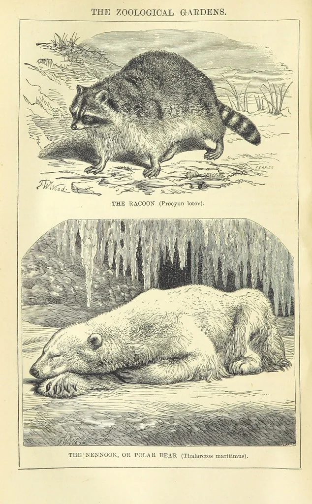 An illustration from Beeton's Historical Romances, Daring Deeds, and Animal Stories. Illustrated, etc, 1871, leaf 642